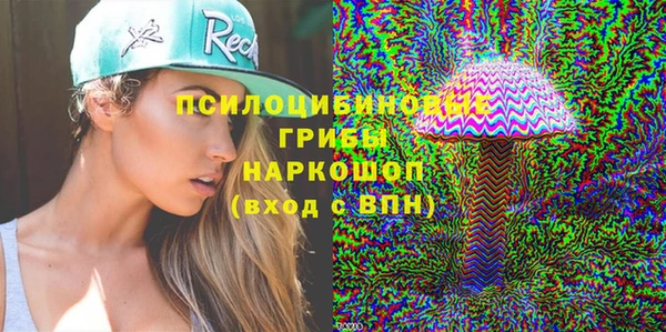 дживик Балахна
