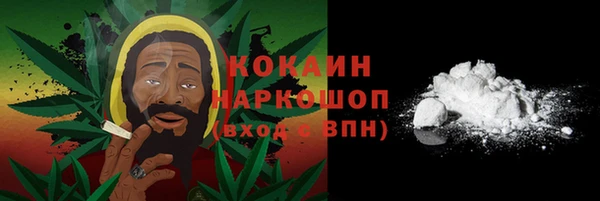 дживик Балахна
