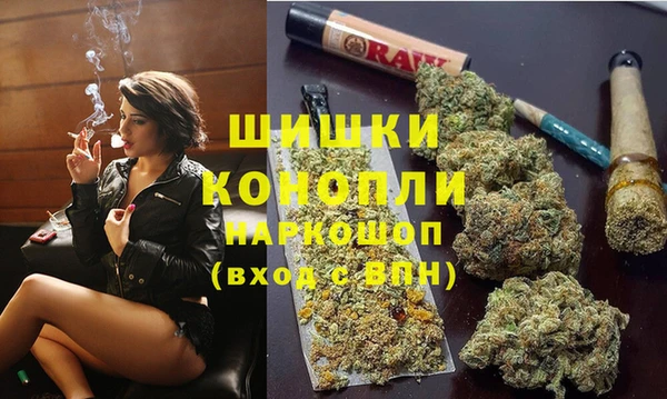 дживик Балахна
