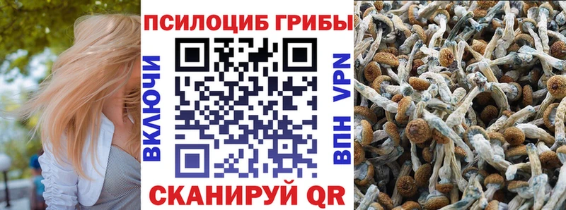 Галлюциногенные грибы ЛСД  Хасавюрт 